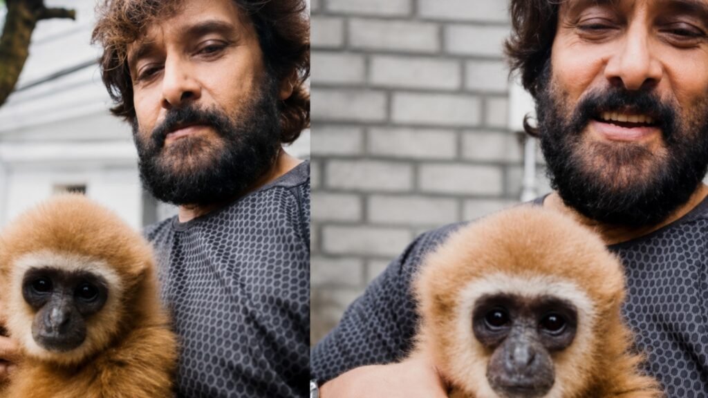 Tamil Nadu to Manipur to Malaysia: Vikram’s viral Lar Gibbon video leads forest dept down a long trail | India News