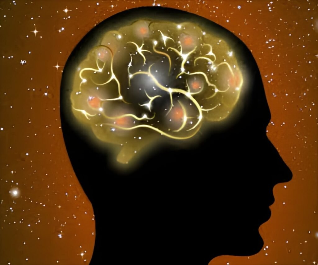 How Do Microplastics Reach the Human Brain? Experts Answer