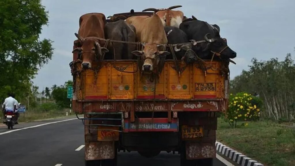 Another attack over cattle smuggling claims in Jammu; 3 injured, 17 booked | India News