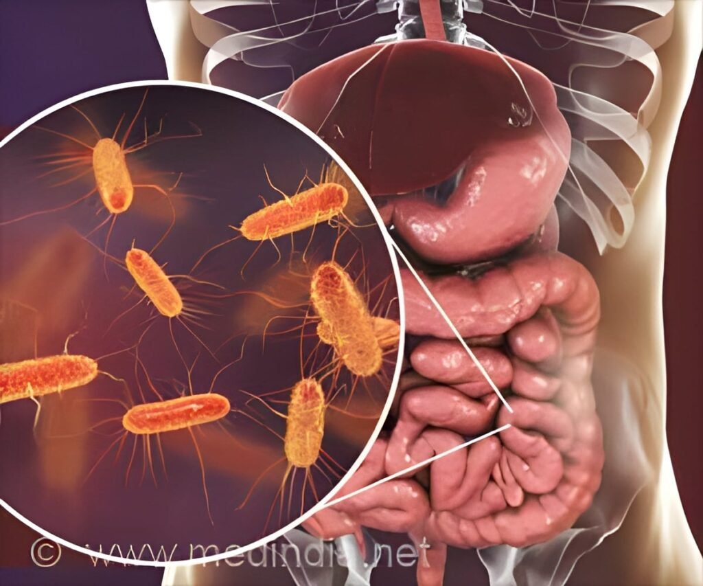 Why Is the South Asian Gut Microbiome Different?