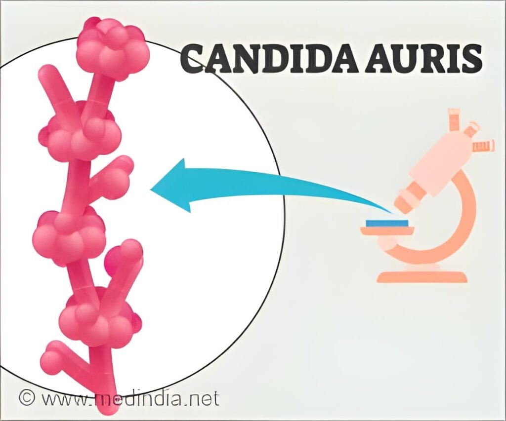 CDC Tracks 3,437 Candida Auris Cases Across 27 US States