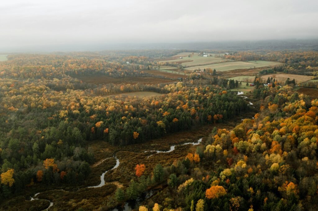 the US template others can copy