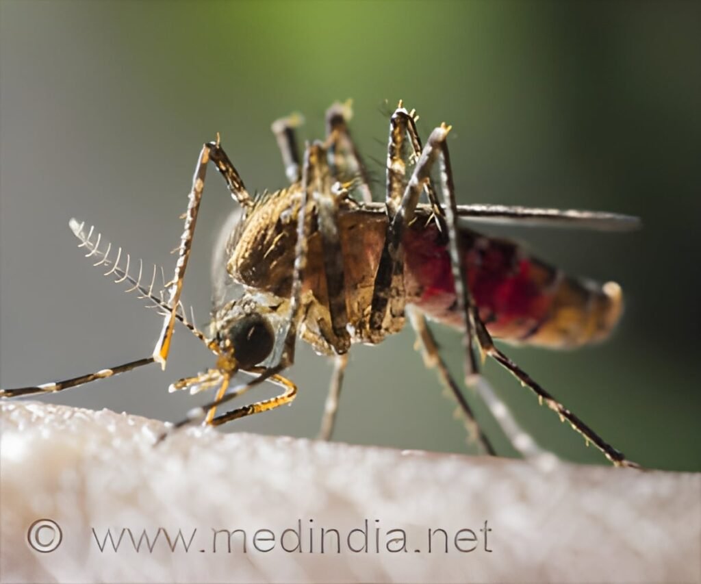 Kerala Reports 105 Chikungunya Cases Amid Monsoon Surge
