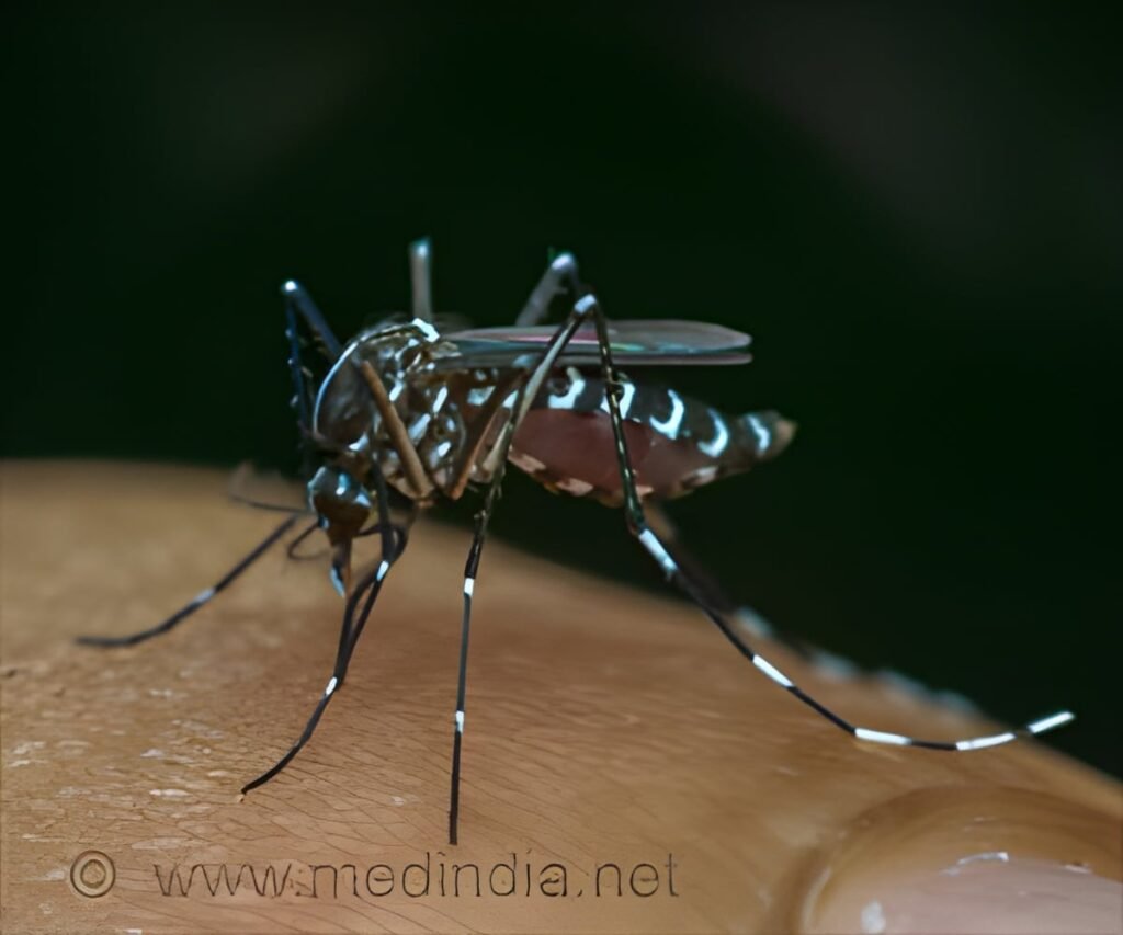 Two Die in Rare Frankfurt Airport Malaria Outbreak