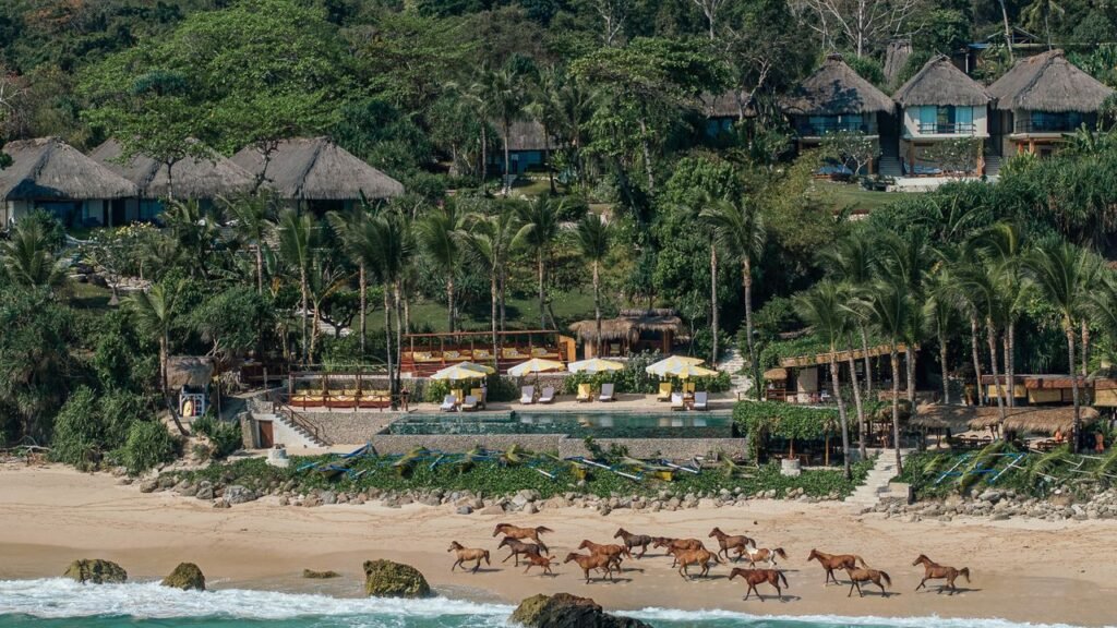On an Equine Therapy Retreat in Indonesia, Letting the Horses Dig Up Old Feelings