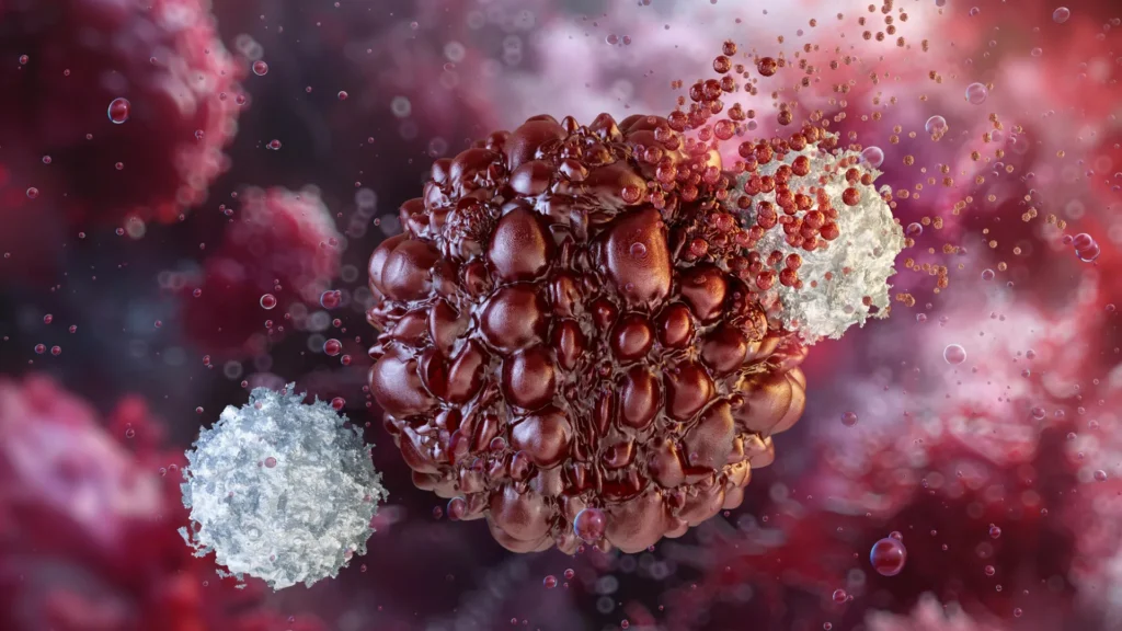 A protein older than blood circulation could transform cancer immunotherapy