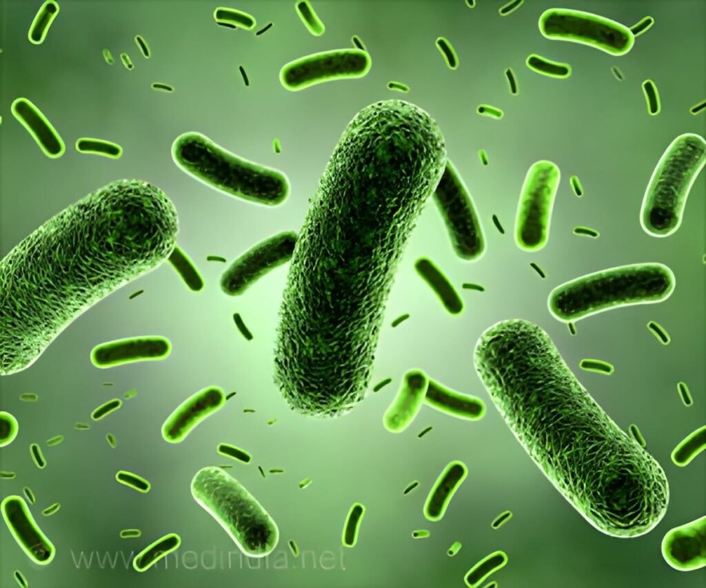 Louisiana Reports 5 Deaths From ‘Flesh-Eating’ Vibrio Bacteria As Cases Rise