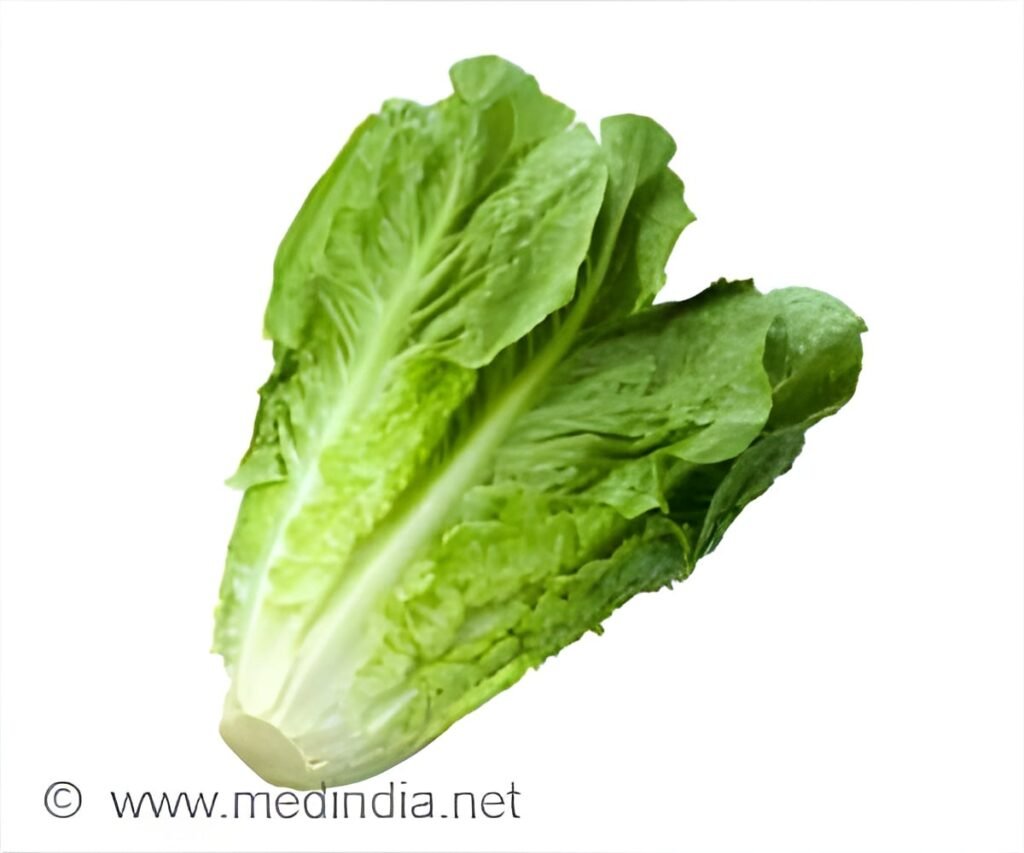 Cyclospora Outbreak Eases In Michigan As Salad Warning Ends